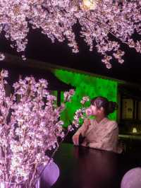 〜京都府〜世界遺産二条城桜まつり