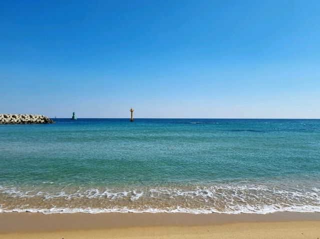 속초여행 필수코스! 🏖속초해수욕장💙🩵💙🩵