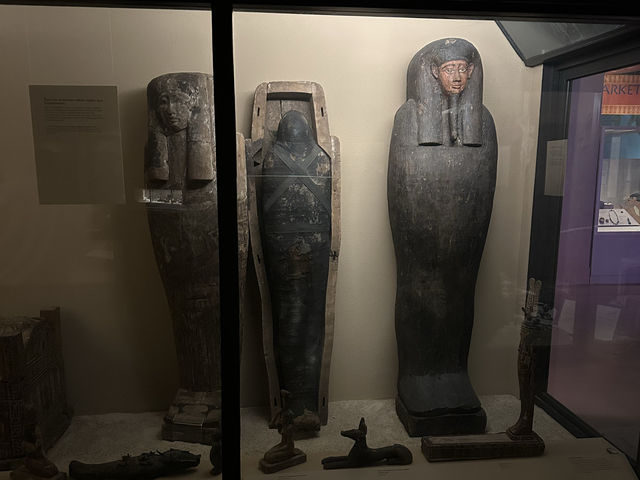 芝加哥的The Field Museum：古埃及文明展示，豐富知識和視覺享受