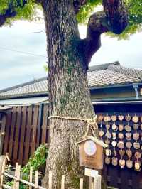 〜埼玉県〜バス停みたいな超ミニ神社　しあわせ稲荷