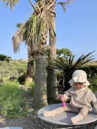 제주 산방산 근처 예쁜 뷰포인트🌴