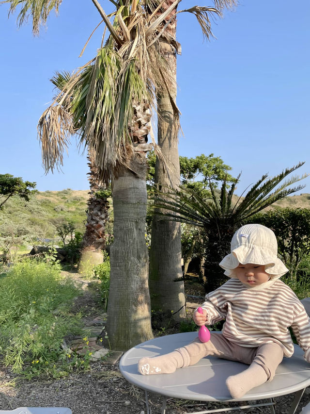 제주 산방산 근처 예쁜 뷰포인트🌴