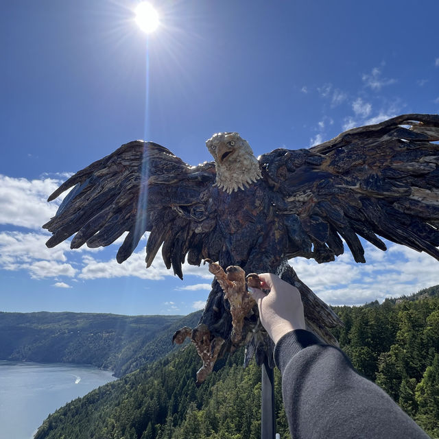 Malahat Skywalk-breathtaking views!! 