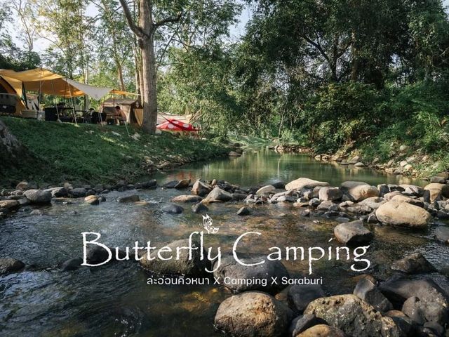 Butterfly Camping
