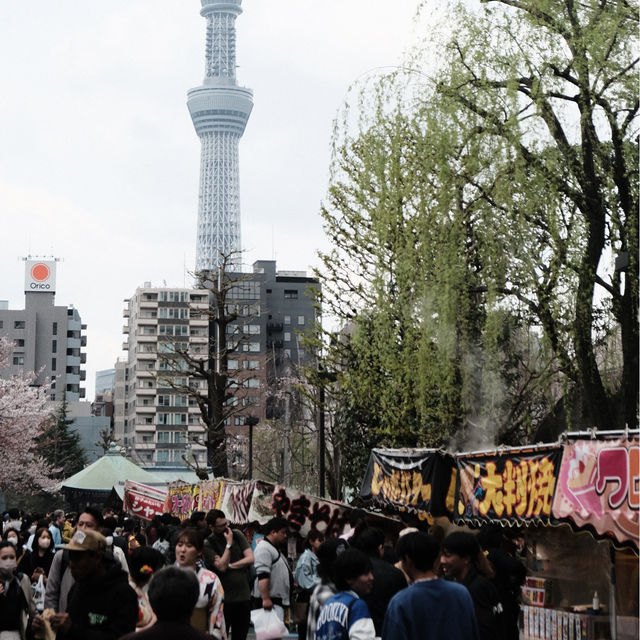 วัดอาซากุสะ (Asakusa Temple) 