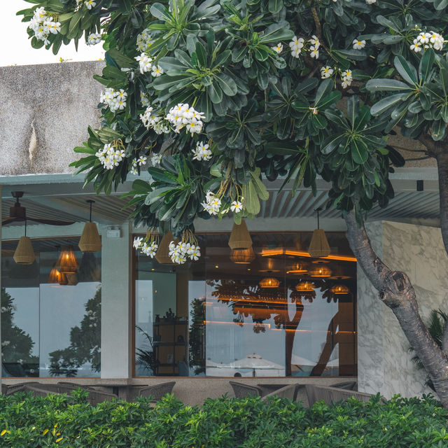 ร้านอาหารเมดิเตอร์เรเนียน วิวทะเลชิลๆ