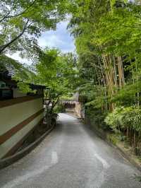 【福岡観光】涼しげな風鈴とシャボン玉が楽しめるお寺🎐