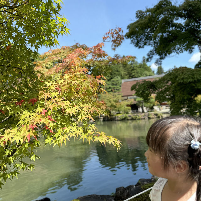 【名古屋親子一日遊】虎溪山永保寺、恵那峽、馬籠、妻籠，適合全家出遊！