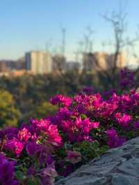 🇪🇸Walking into history🇪🇸🌸Must see in Malaga💕