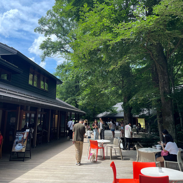 【軽井沢】必ず抑えたい自然を感じられる大人気スポット🌱
