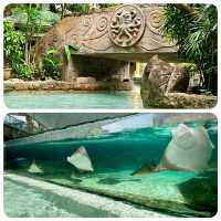 新加坡水上探險樂園-走進夢幻的海島樂園，趕走炎熱天氣