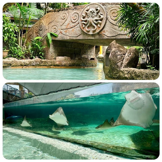 新加坡水上探險樂園-走進夢幻的海島樂園，趕走炎熱天氣