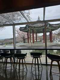 ૮꒰ྀི ੭˶ᵔ ᵕ ᵔ ꒱ྀི੭ 경주 황리단길 카페 내류사