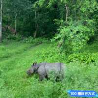 尼泊爾 奇旺國家公園 🏞️