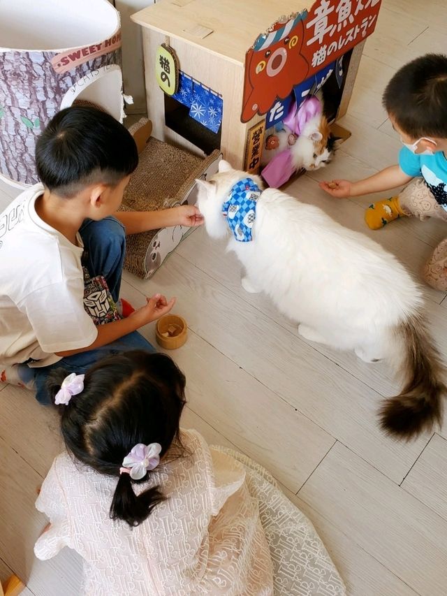 Cat Tea Room 貓之茶房🐱☕️ 尖沙咀分店