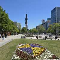 A Vibrant Oasis in the Heart of Sapporo