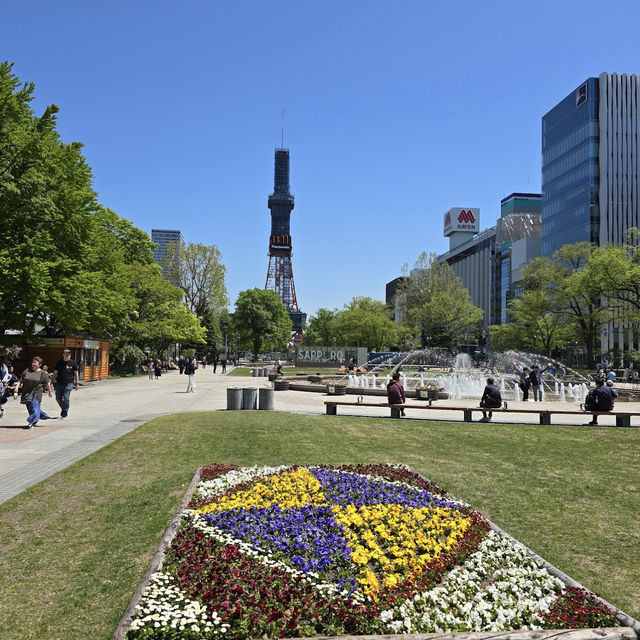 A Vibrant Oasis in the Heart of Sapporo