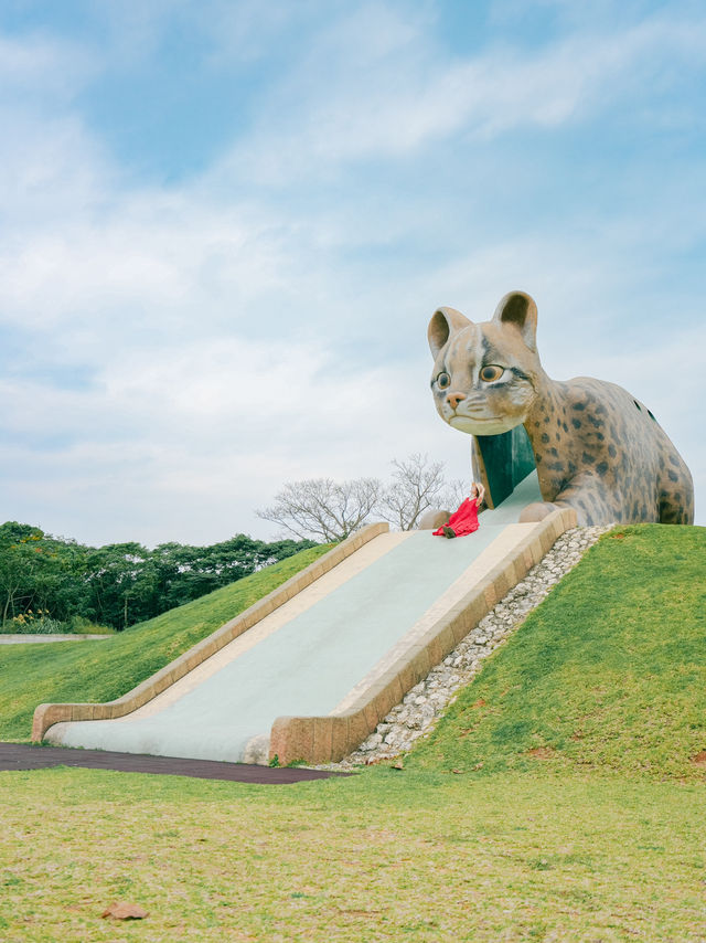 【沖縄】西表島のフォトスポット🐈‍⬛🐾