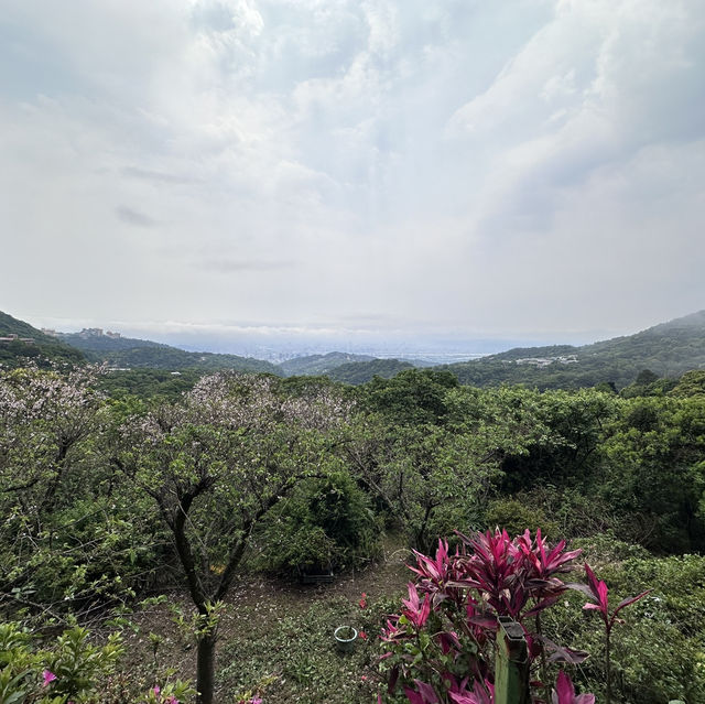 ［台北］在雲端漫步的陽明山公園