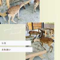 【台湾】墾丁で動物とふれあおう！