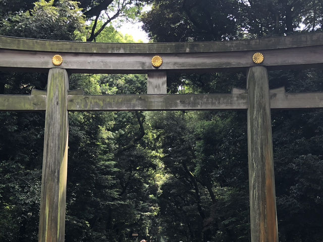 ［東京］森林中的明治神宮
