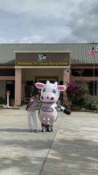Desa Dairy Farm, Kundasang