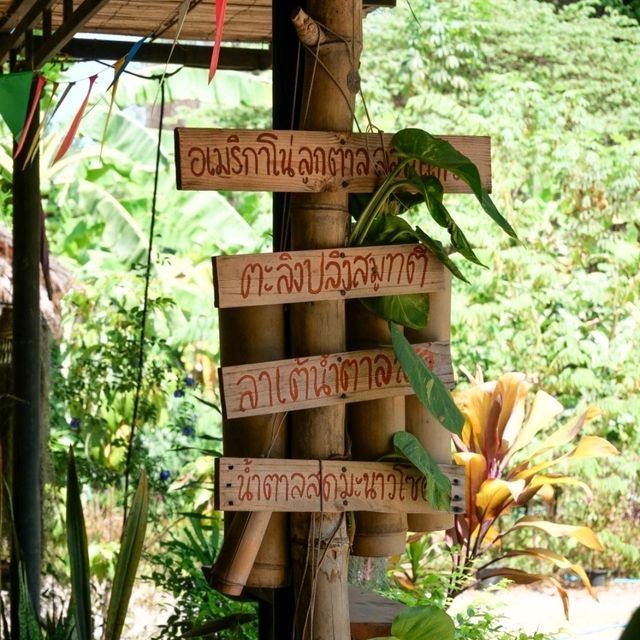ไปเที่ยวอุโมงค์ต้นตาลที่ จ. เพชรบุรีกัน 🌴🌴