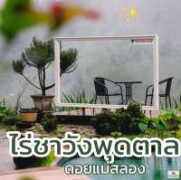 ไร่ชาวังพุดตาล ดอยแม่สลอง จ.เชียงราย