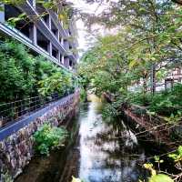 【京都】京都観光 京都風情が楽しめる二条高瀬川