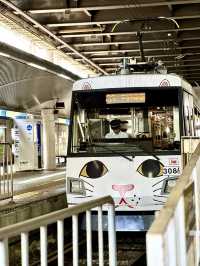 The Cutest Cat Train in Tokyo 🐱🐾