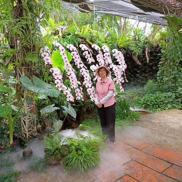 สวนสวัสดี เชียงใหม่ 