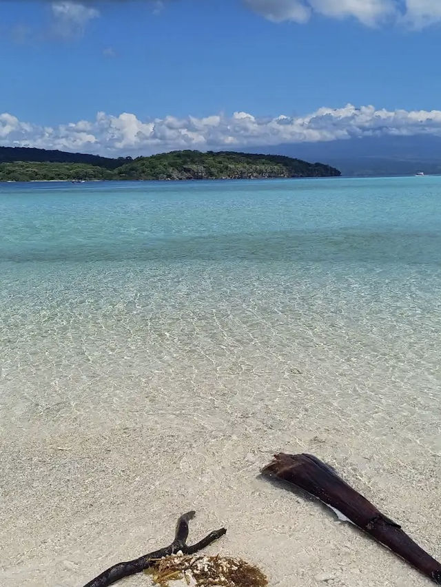 Menjangan Bali Island