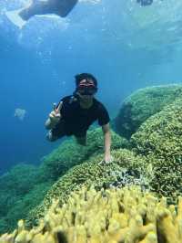 Menjangan Bali Island