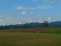เช็คอิน..สิงห์ปาร์ค