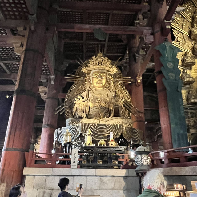 Todaiji Temple • เมืองนารา 🇯🇵 ญี่ปุ่น