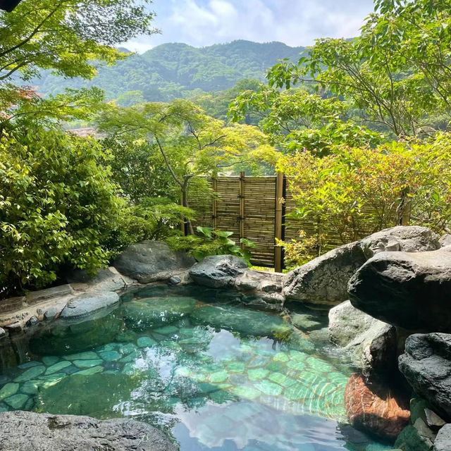 Hot spring hotel stay