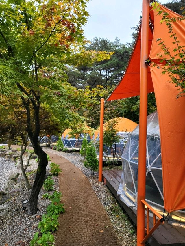 무주에서 가장 빠른 가을이 찾아온 단풍카페🍁