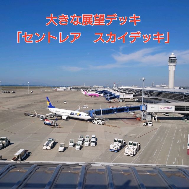 大きな展望デッキ「セントレア　スカイデッキ」