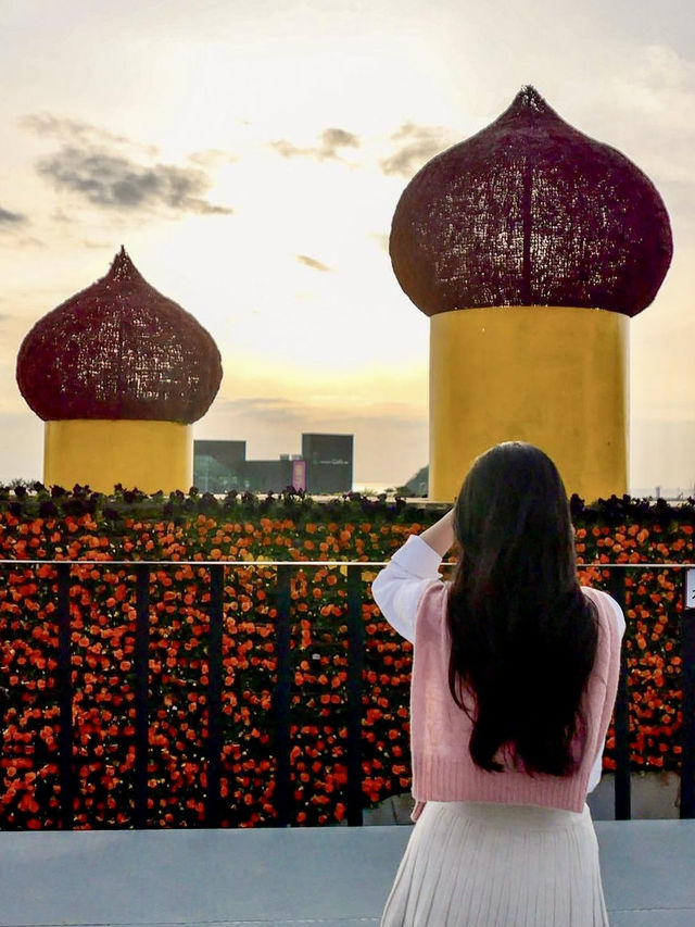 노을+튤립 조합은 사랑, 태안명소🧡