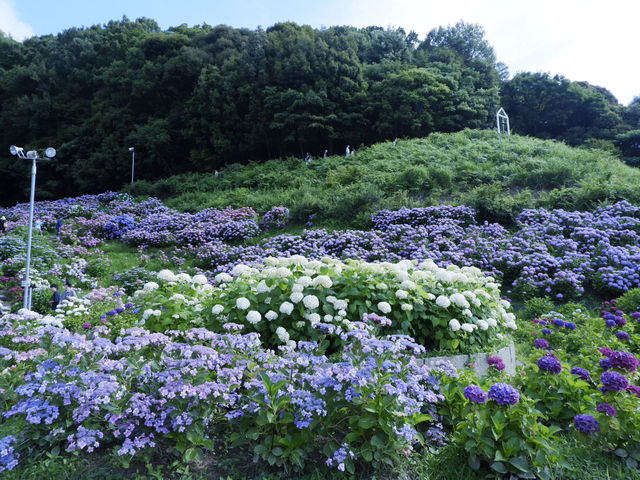 名古屋愛知縣景點：適合自駕遊 