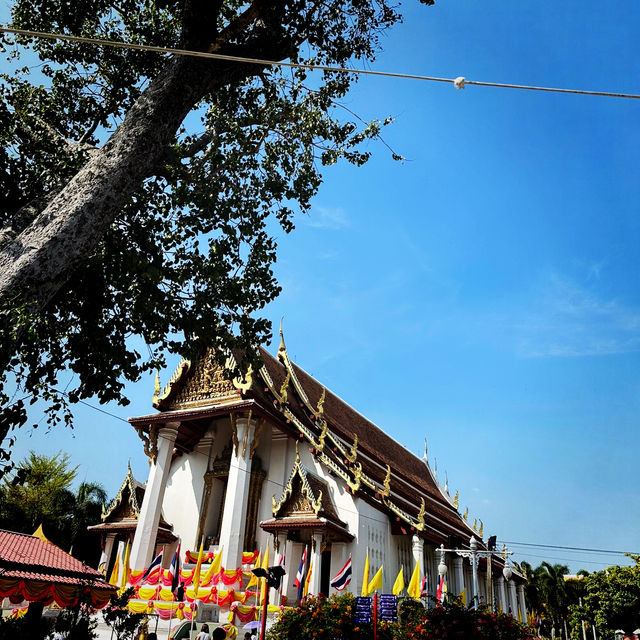 เที่ยวอยุธยา 1 วัน ไหว้พระ ดูช้าง ❤️🍃