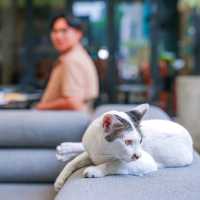 ลากแฟนไป พักสะดวก ชิคๆ Lub D Bangkok Siam