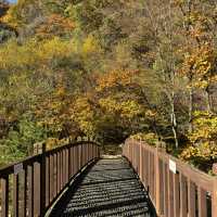 Nature’s best, Seoraksan
