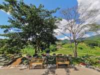 สวนร้อยใจรักษ์ ROI JAI RAK GARDEN
