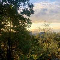 王子公園：城市中的天然氧吧 🌿🌞