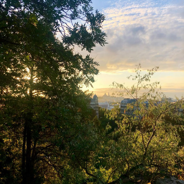 王子公園：城市中的天然氧吧 🌿🌞