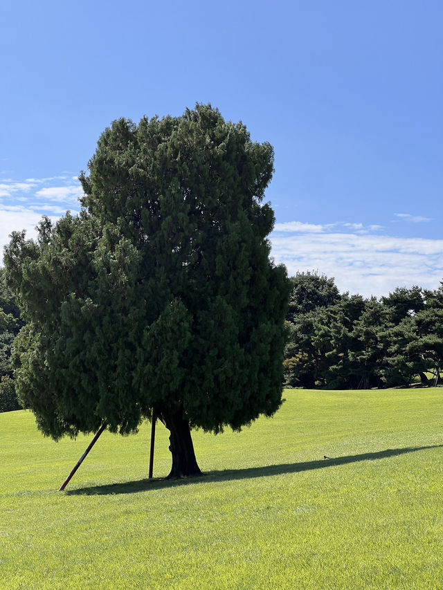 ソウルオリンピック公園