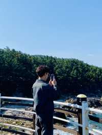 จุดชมวิวทะเลสุดปังแห่งโพฮัง! ⚓️🌊🇰🇷