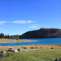 Lake Tekapo New Zealand