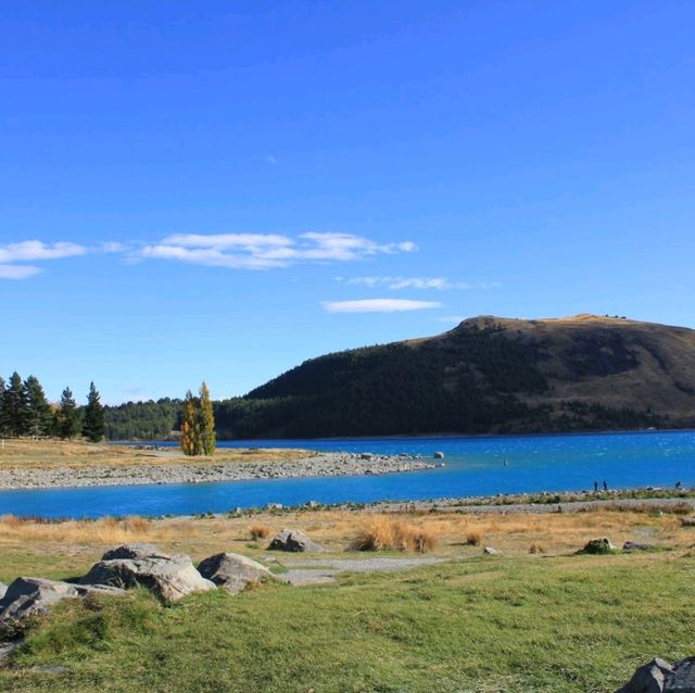 Lake Tekapo New Zealand